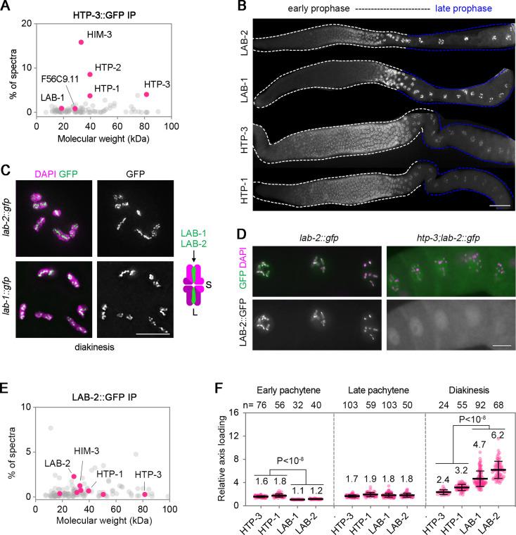 https://cdn.ncbi.nlm.nih.gov/pmc/blobs/9535/10666650/fcb35ae3db45/JCB_202212035_Fig1.jpg