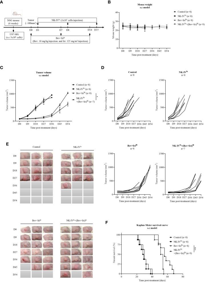 https://cdn.ncbi.nlm.nih.gov/pmc/blobs/9537/9871756/5a9941150bd8/fimmu-13-1009484-g003.jpg