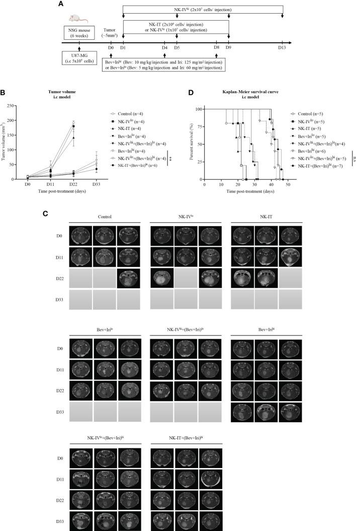 https://cdn.ncbi.nlm.nih.gov/pmc/blobs/9537/9871756/eb6f7fe783e6/fimmu-13-1009484-g004.jpg