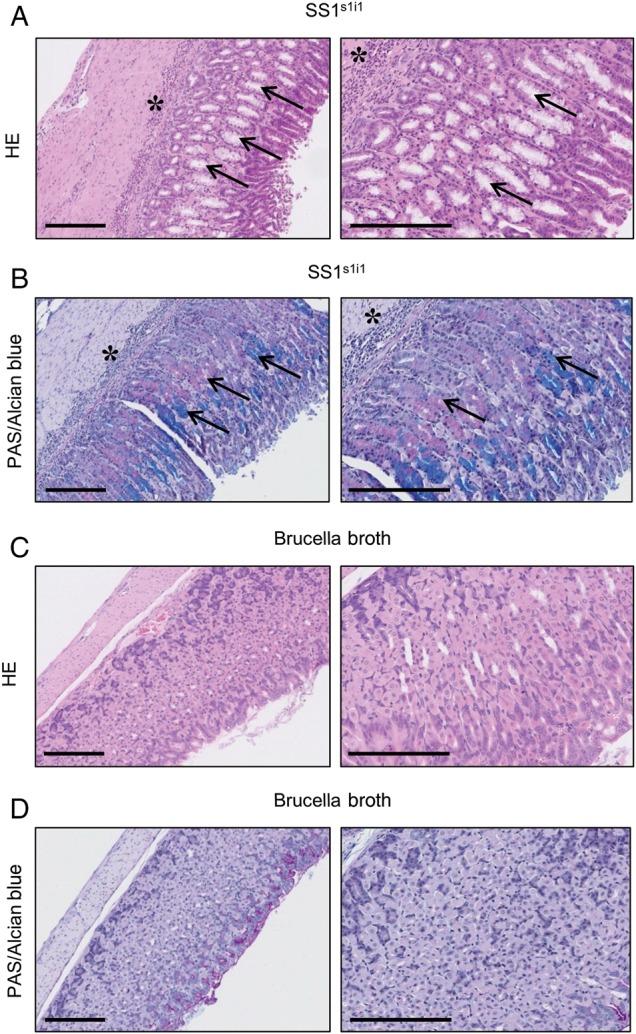 https://cdn.ncbi.nlm.nih.gov/pmc/blobs/9538/4136800/8c6ea7695a96/jiu15403.jpg