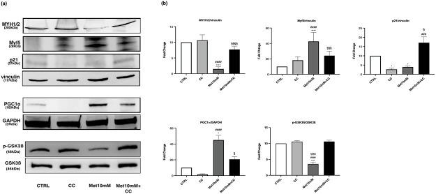 https://cdn.ncbi.nlm.nih.gov/pmc/blobs/9538/9916624/a422d358242b/pone.0281718.g013.jpg