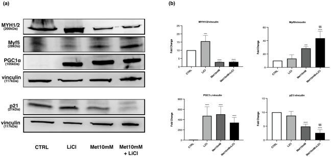 https://cdn.ncbi.nlm.nih.gov/pmc/blobs/9538/9916624/b37c36928451/pone.0281718.g014.jpg