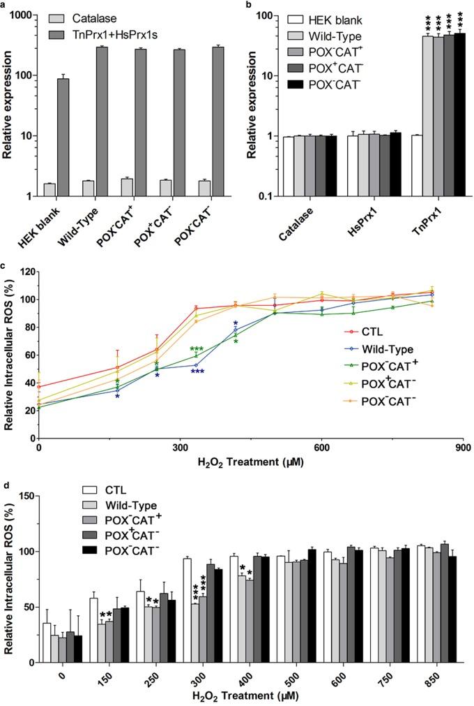 https://cdn.ncbi.nlm.nih.gov/pmc/blobs/9539/5452528/173b24c3b1f0/BCJ-2016-0851.07.jpg