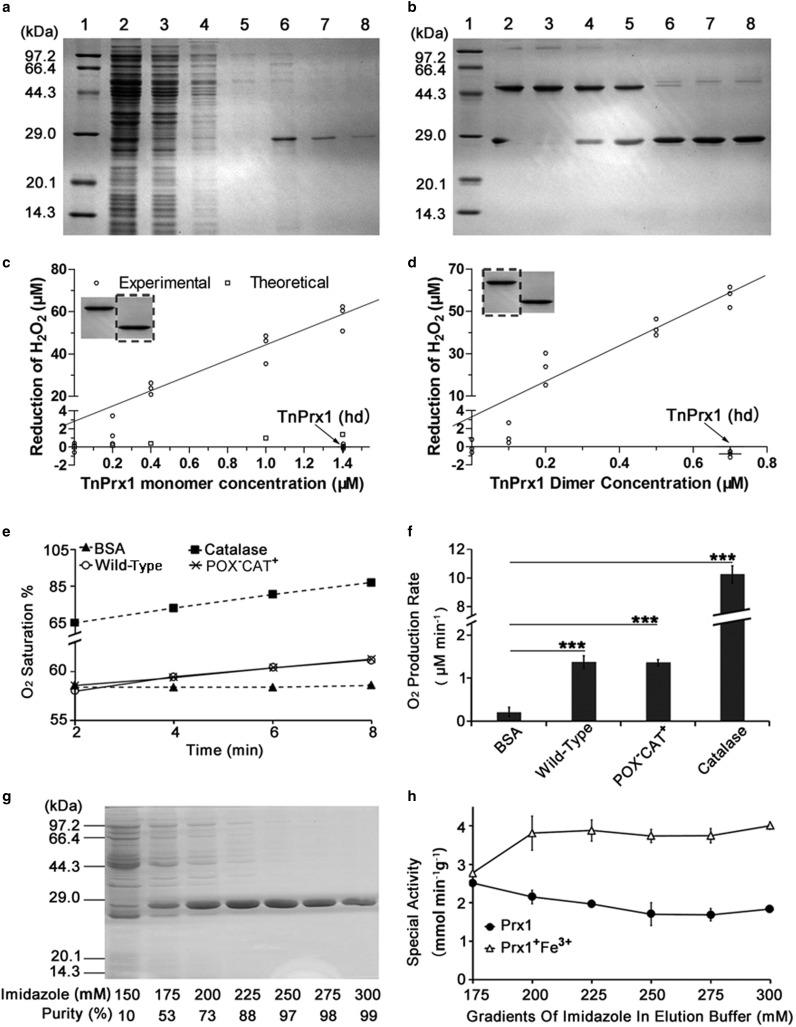 https://cdn.ncbi.nlm.nih.gov/pmc/blobs/9539/5452528/ce774e60d9b5/BCJ-2016-0851.02.jpg