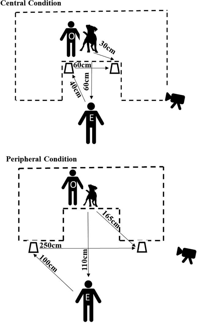 https://cdn.ncbi.nlm.nih.gov/pmc/blobs/9539/8360901/d69633c4e150/10071_2021_1500_Fig1_HTML.jpg