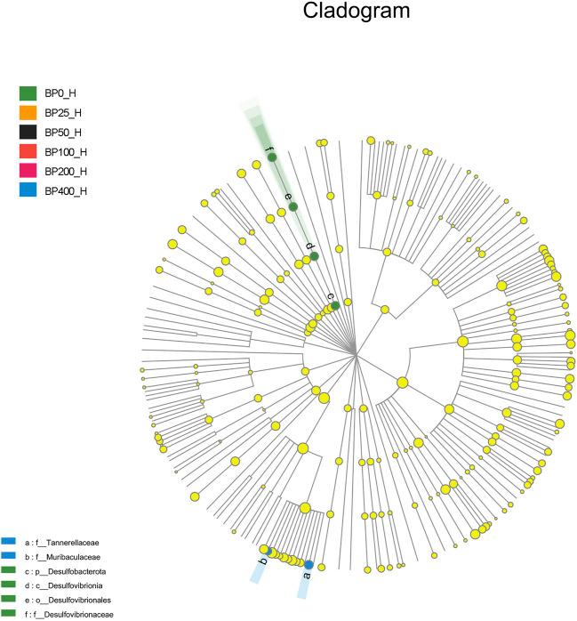 https://cdn.ncbi.nlm.nih.gov/pmc/blobs/953b/9353574/6b6ced129934/fphys-13-902784-g007.jpg