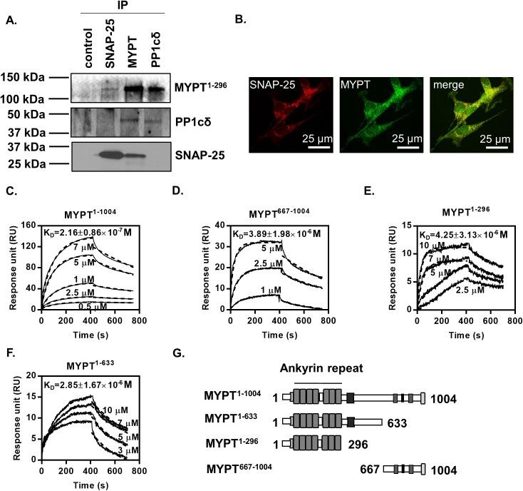 https://cdn.ncbi.nlm.nih.gov/pmc/blobs/953d/5423623/84415334f21e/pone.0177046.g001.jpg