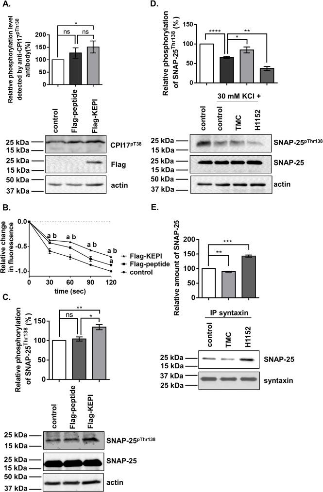 https://cdn.ncbi.nlm.nih.gov/pmc/blobs/953d/5423623/c185acec0790/pone.0177046.g005.jpg