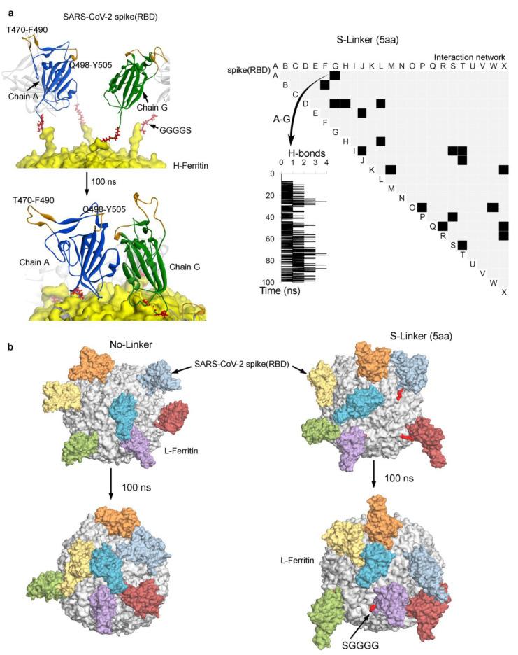 https://cdn.ncbi.nlm.nih.gov/pmc/blobs/953d/7923090/39c4097e5766/biomolecules-11-00297-g003.jpg