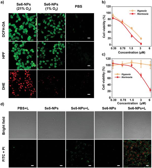 https://cdn.ncbi.nlm.nih.gov/pmc/blobs/9540/10460872/da482cc8b03e/ADVS-10-2301902-g003.jpg
