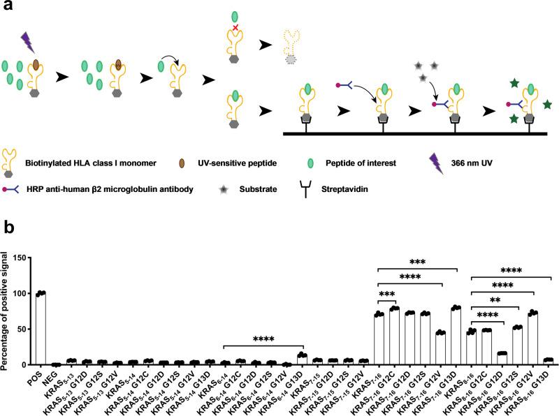 https://cdn.ncbi.nlm.nih.gov/pmc/blobs/9541/11058820/0f3f325033c6/42003_2024_6209_Fig1_HTML.jpg