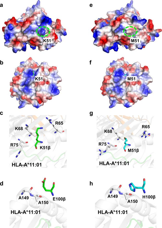 https://cdn.ncbi.nlm.nih.gov/pmc/blobs/9541/11058820/8a66820520c9/42003_2024_6209_Fig7_HTML.jpg