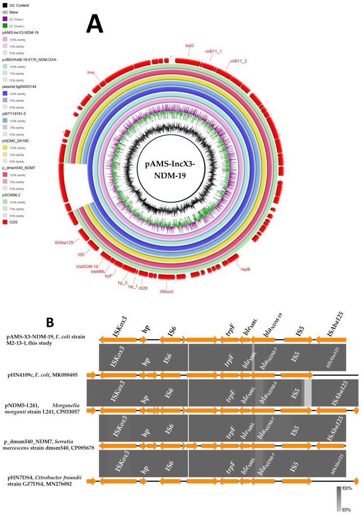https://cdn.ncbi.nlm.nih.gov/pmc/blobs/9541/12388173/bdfff2d6c1de/microorganisms-13-01769-g001.jpg