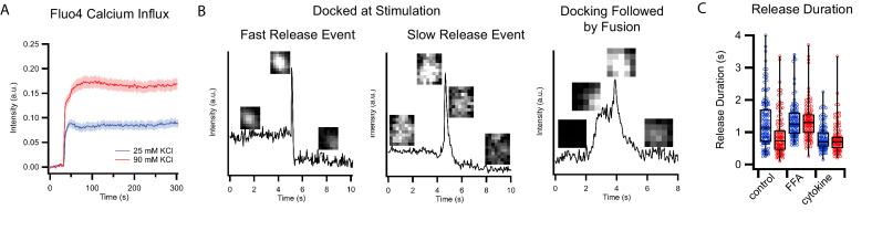 https://cdn.ncbi.nlm.nih.gov/pmc/blobs/9543/7738183/60effec1fa44/elife-62506-fig2-figsupp1.jpg
