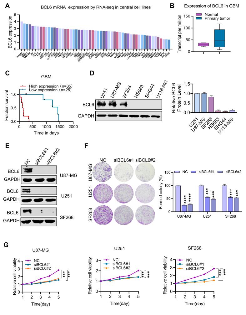 https://cdn.ncbi.nlm.nih.gov/pmc/blobs/9544/12357248/211be5bbf7cf/gr1.jpg