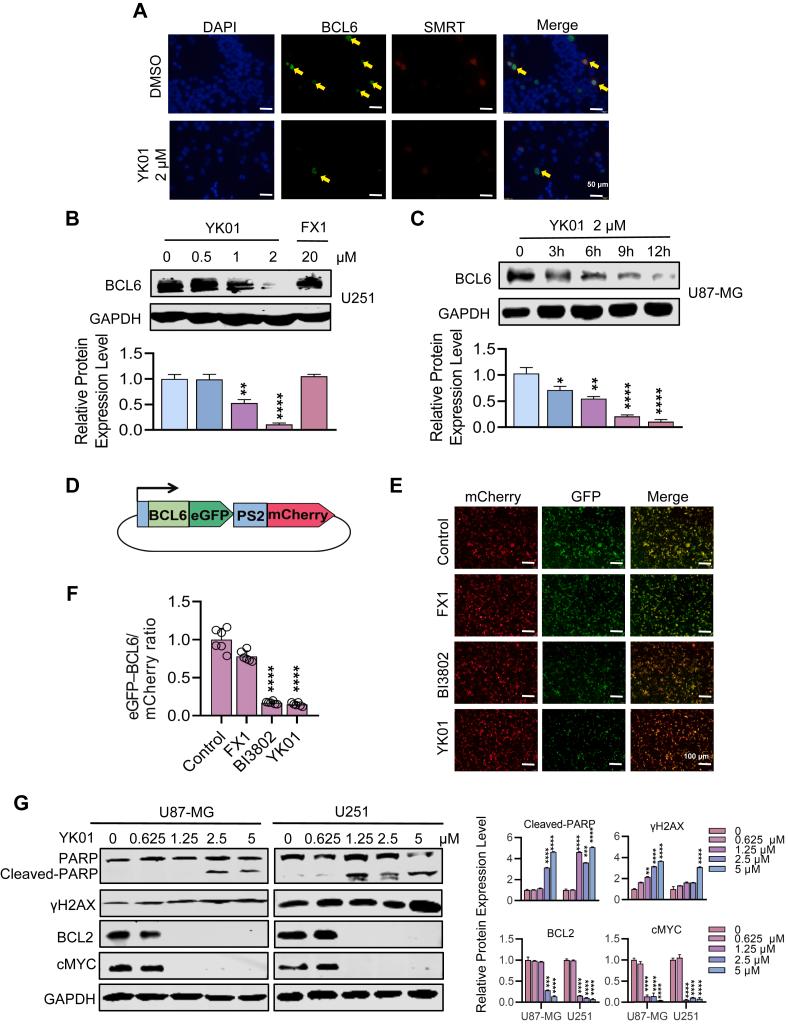 https://cdn.ncbi.nlm.nih.gov/pmc/blobs/9544/12357248/2e7a0fd05c30/gr5.jpg