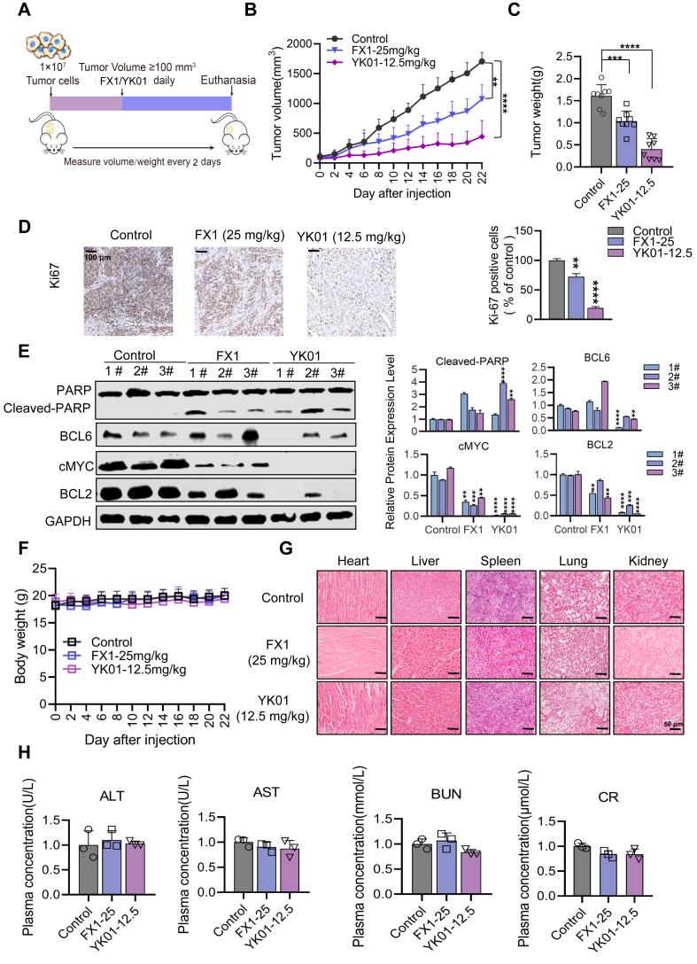 https://cdn.ncbi.nlm.nih.gov/pmc/blobs/9544/12357248/395131f651e2/gr6.jpg