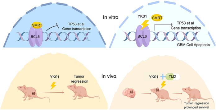 https://cdn.ncbi.nlm.nih.gov/pmc/blobs/9544/12357248/69182699d932/ga1.jpg