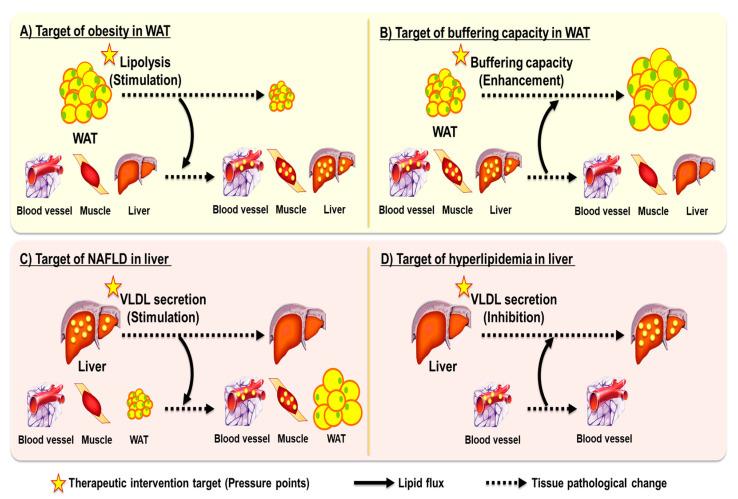 https://cdn.ncbi.nlm.nih.gov/pmc/blobs/9547/12386836/bde9d9d2d3b5/ijms-26-07740-g001.jpg