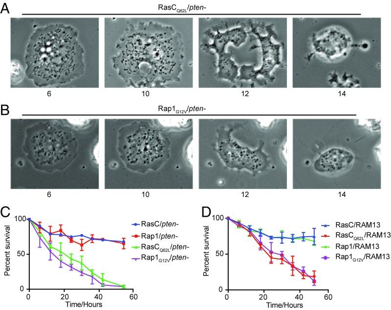 https://cdn.ncbi.nlm.nih.gov/pmc/blobs/9547/5910810/daddee8e34e7/pnas.1710480115fig06.jpg
