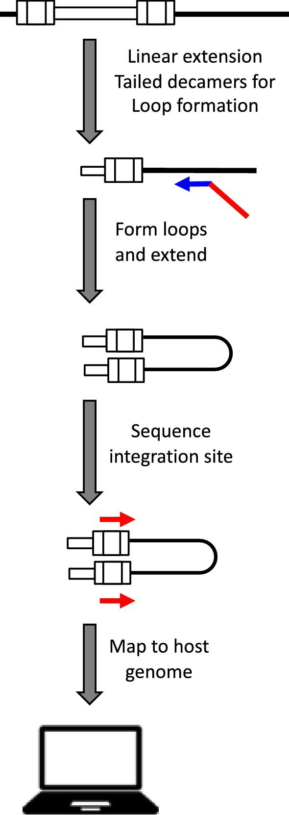 https://cdn.ncbi.nlm.nih.gov/pmc/blobs/9547/6199739/7f7bd3e4ce54/12977_2018_448_Fig4_HTML.jpg