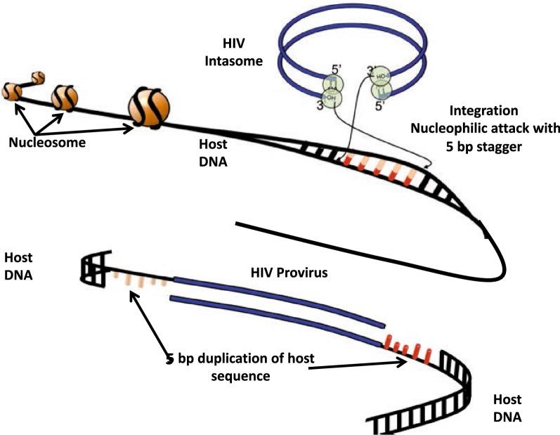 https://cdn.ncbi.nlm.nih.gov/pmc/blobs/9547/6199739/f1bd2423fd5e/12977_2018_448_Fig2_HTML.jpg