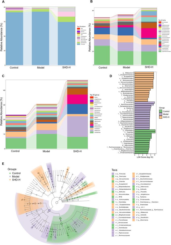 https://cdn.ncbi.nlm.nih.gov/pmc/blobs/9548/11863617/15b0c7030a20/13018_2025_5619_Fig8_HTML.jpg