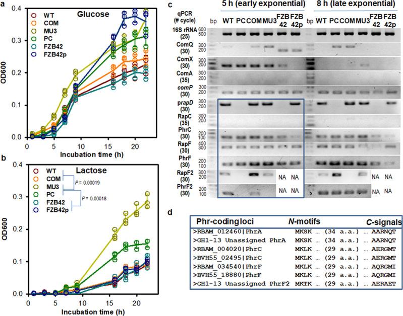 https://cdn.ncbi.nlm.nih.gov/pmc/blobs/9548/8121941/e22653e3f47d/42003_2021_2107_Fig5_HTML.jpg