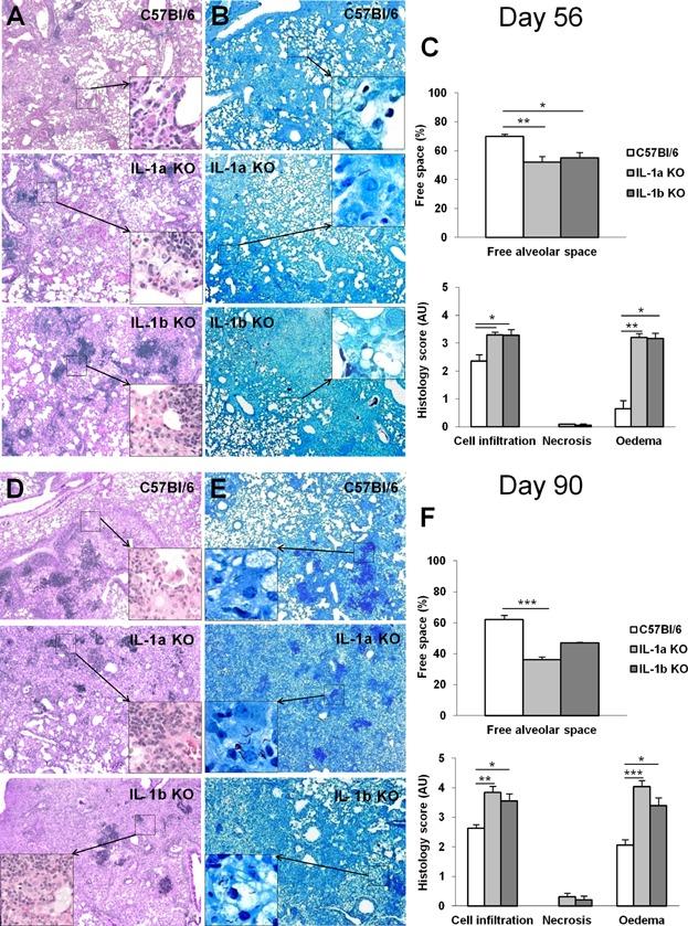 https://cdn.ncbi.nlm.nih.gov/pmc/blobs/954c/4217540/002c2bce9b81/iid30001-0047-f4.jpg