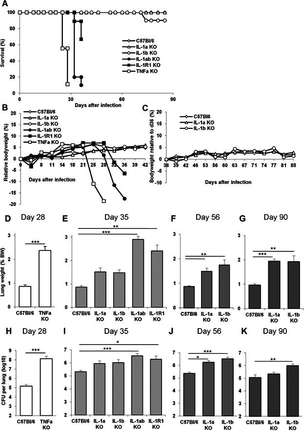 https://cdn.ncbi.nlm.nih.gov/pmc/blobs/954c/4217540/9d18c1f4cdb2/iid30001-0047-f2.jpg