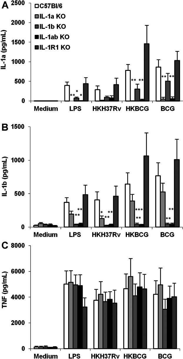 https://cdn.ncbi.nlm.nih.gov/pmc/blobs/954c/4217540/c5efbcc842f9/iid30001-0047-f1.jpg