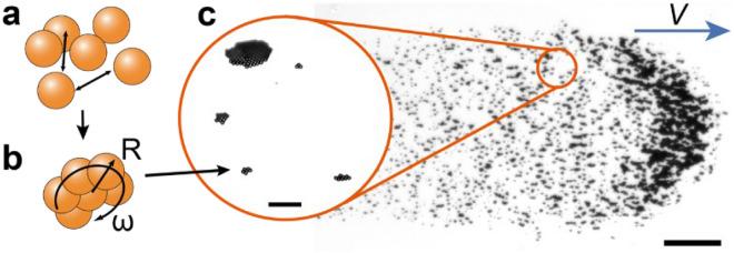 https://cdn.ncbi.nlm.nih.gov/pmc/blobs/954c/8948265/94b3aa0055b6/41598_2022_9177_Fig1_HTML.jpg