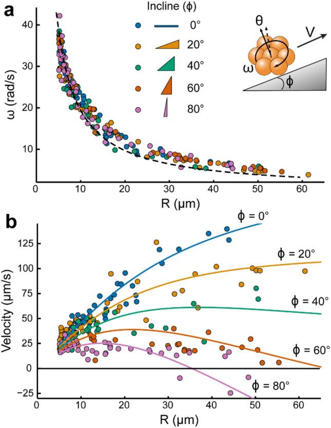 https://cdn.ncbi.nlm.nih.gov/pmc/blobs/954c/8948265/c773672ee557/41598_2022_9177_Fig2_HTML.jpg