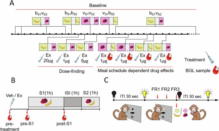 https://cdn.ncbi.nlm.nih.gov/pmc/blobs/954d/11631970/58389d0bd95e/41386_2024_1981_Fig1_HTML.jpg