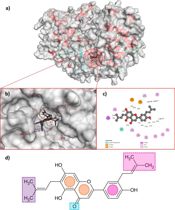 https://cdn.ncbi.nlm.nih.gov/pmc/blobs/954d/9835631/966d1ea85013/ao2c04837_0005.jpg