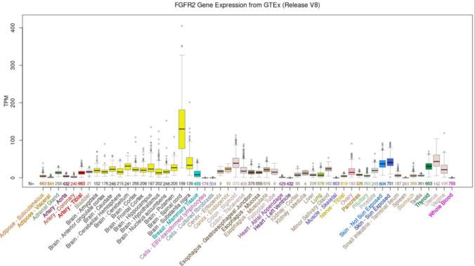 https://cdn.ncbi.nlm.nih.gov/pmc/blobs/954e/10721674/44555c0667f6/12017_2023_8759_Fig2_HTML.jpg