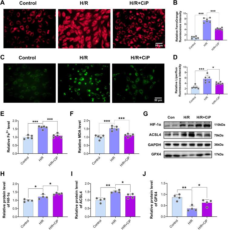https://cdn.ncbi.nlm.nih.gov/pmc/blobs/954e/11663391/1a6baaaf86d8/DDDT-18-6115-g0005.jpg