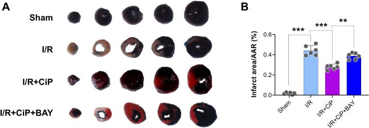 https://cdn.ncbi.nlm.nih.gov/pmc/blobs/954e/11663391/1b1ec5764d1e/DDDT-18-6115-g0010.jpg