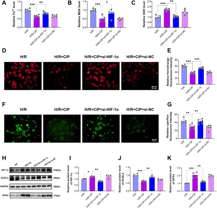 https://cdn.ncbi.nlm.nih.gov/pmc/blobs/954e/11663391/40a33c920818/DDDT-18-6115-g0009.jpg