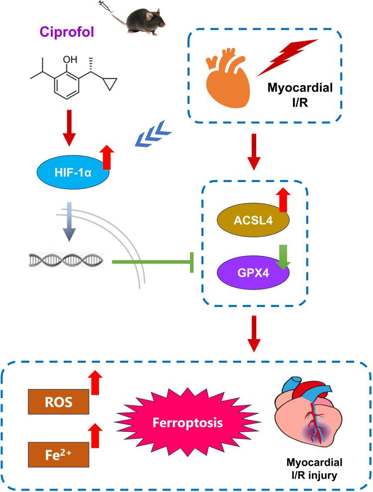 https://cdn.ncbi.nlm.nih.gov/pmc/blobs/954e/11663391/425cdf4e08af/DDDT-18-6115-g0013.jpg
