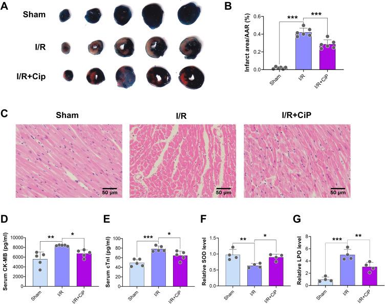 https://cdn.ncbi.nlm.nih.gov/pmc/blobs/954e/11663391/51bbe5fdaefc/DDDT-18-6115-g0003.jpg