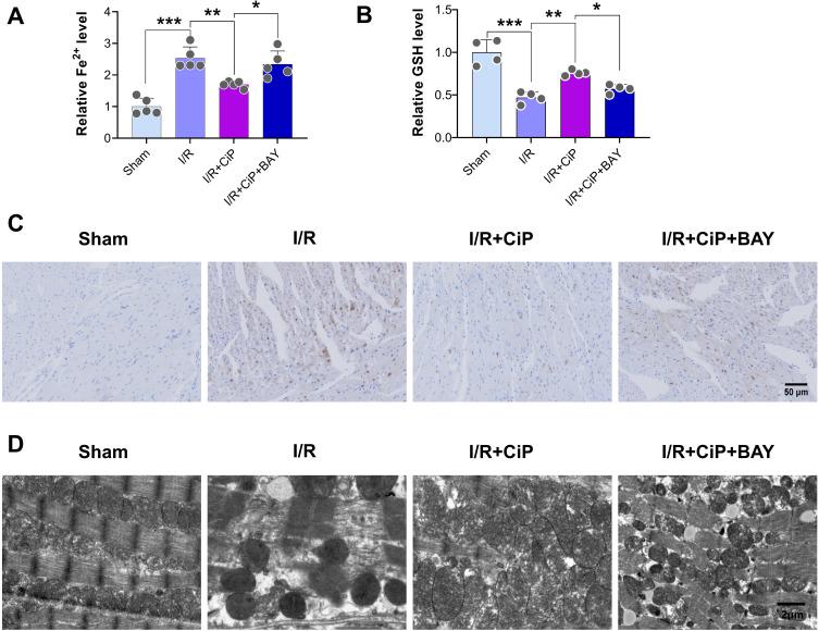 https://cdn.ncbi.nlm.nih.gov/pmc/blobs/954e/11663391/70387e6eb20e/DDDT-18-6115-g0011.jpg