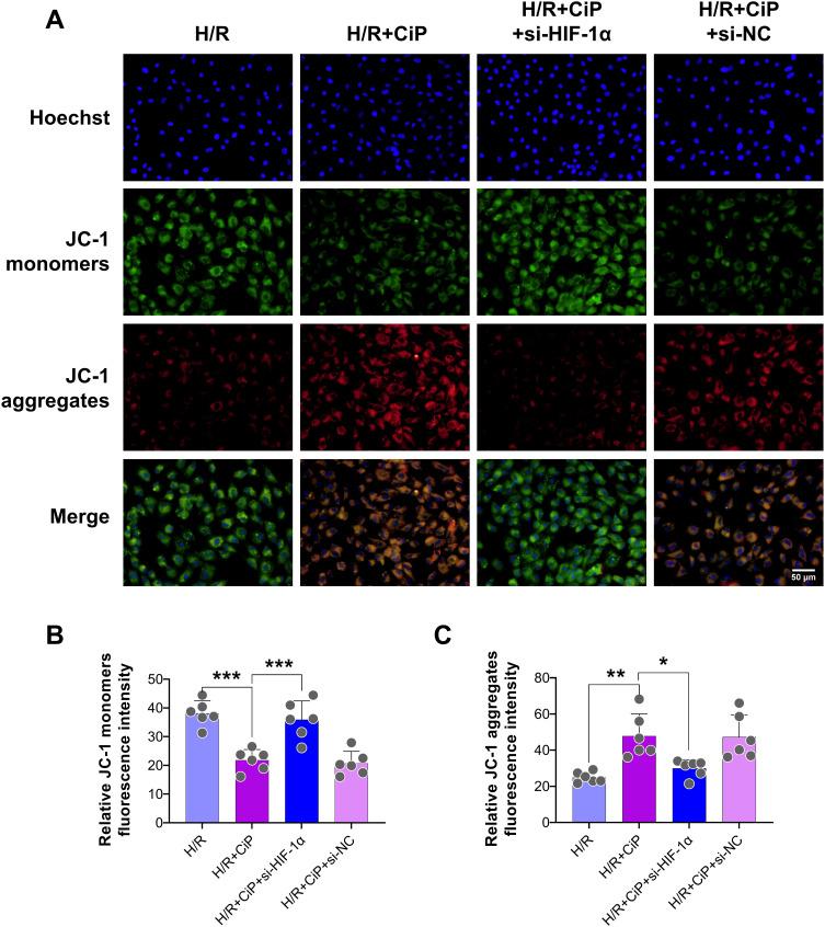 https://cdn.ncbi.nlm.nih.gov/pmc/blobs/954e/11663391/89fa3d12752c/DDDT-18-6115-g0008.jpg