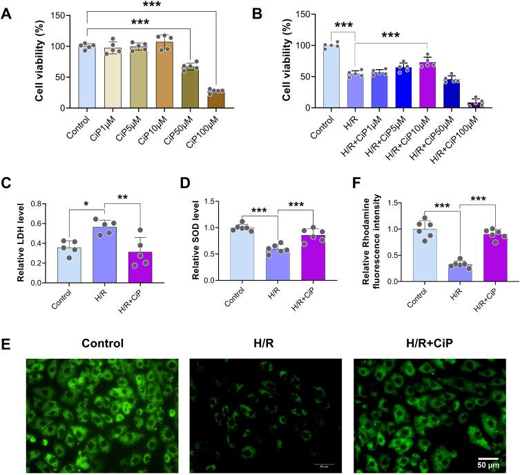 https://cdn.ncbi.nlm.nih.gov/pmc/blobs/954e/11663391/9043ed41af4c/DDDT-18-6115-g0002.jpg
