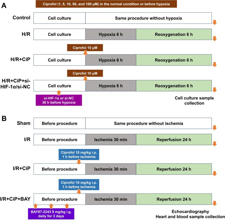 https://cdn.ncbi.nlm.nih.gov/pmc/blobs/954e/11663391/9d60a819e30c/DDDT-18-6115-g0001.jpg