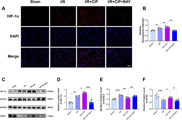 https://cdn.ncbi.nlm.nih.gov/pmc/blobs/954e/11663391/e9b2a80c5c2e/DDDT-18-6115-g0012.jpg