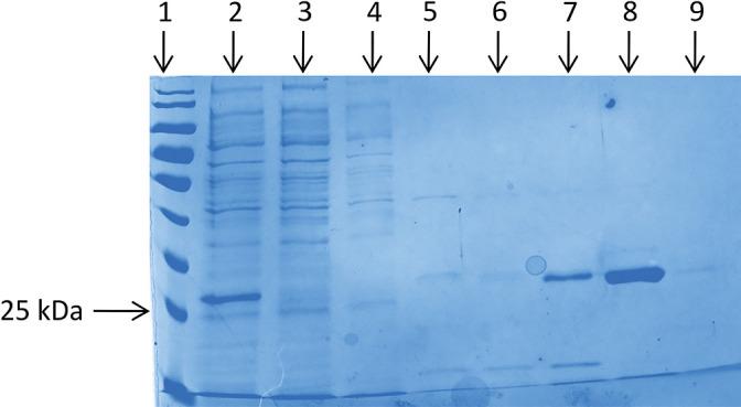 https://cdn.ncbi.nlm.nih.gov/pmc/blobs/954f/7104285/01db459b3717/35_19086-g003.jpg