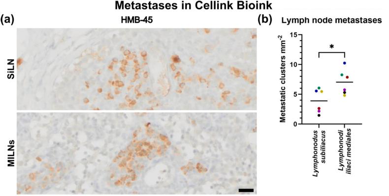 https://cdn.ncbi.nlm.nih.gov/pmc/blobs/9552/11081803/a08d72516422/gr8.jpg