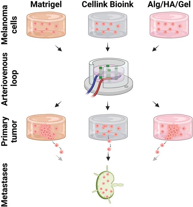 https://cdn.ncbi.nlm.nih.gov/pmc/blobs/9552/11081803/de8ff3e50840/ga1.jpg