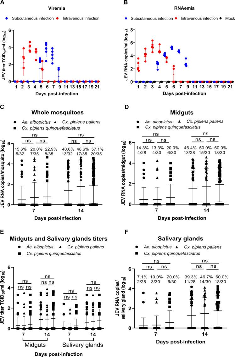 https://cdn.ncbi.nlm.nih.gov/pmc/blobs/9552/12083518/06e2540bd276/sciadv.ads7441-f5.jpg